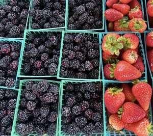 Central Texas farmers markets — Saturday flagships and weekday markets across the Hill Country and I-35 corridor