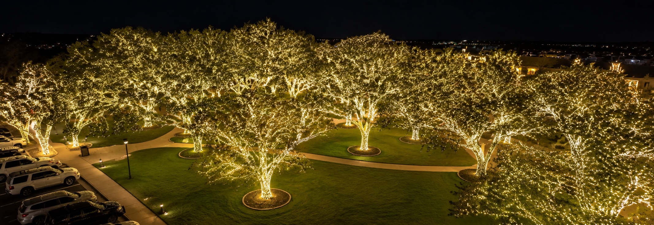 Moving to Johnson City TX — the Lights Spectacular holiday display of oak trees wrapped in lights in downtown Johnson City